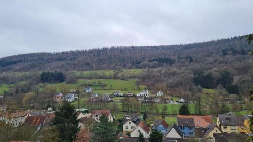 a village in the mountains with houses and trees at Fridolin in Eichenbühl