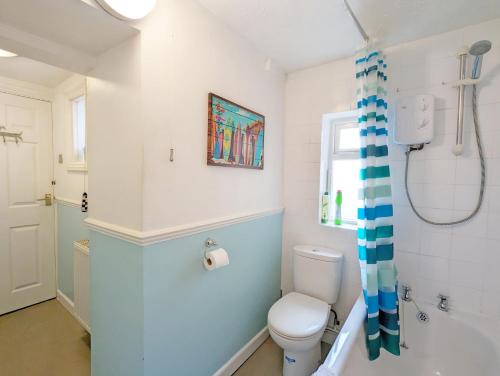 a bathroom with a toilet and a shower at Dolphin House, Emsworth in Emsworth