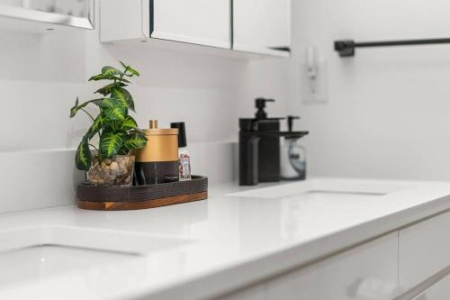 a plant sitting on a counter in a kitchen at Entire Apt/2bd 2bth/Amer. Dream Mall/Nyc/EWR Airpt in Newark