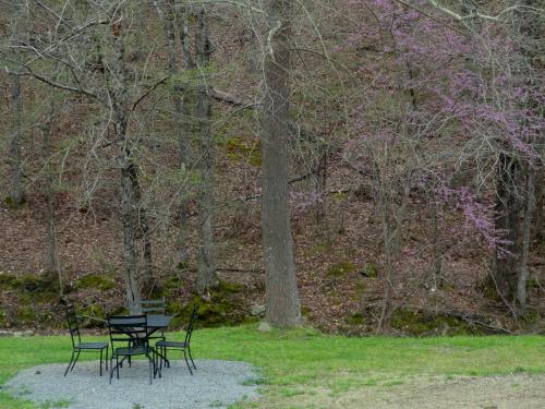 Deux tables de pique-nique noires dans un parc arboré dans l'établissement Budget friendly queen studio with full kitchen, two queen beds and sleeper sofa Hotel Room, à Mount Ida