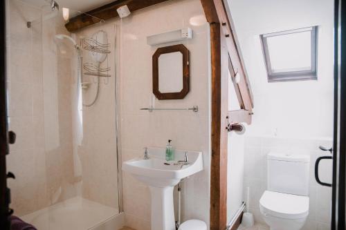 a bathroom with a sink and a shower and a toilet at Stargazer's Loft in Clifford