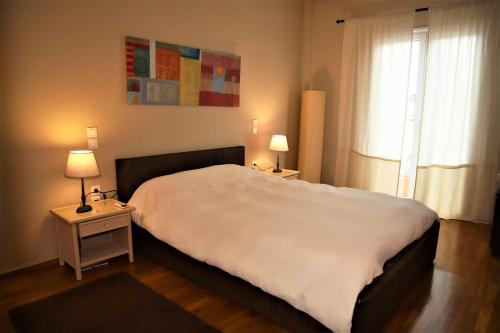 Amazing penthouse in Ambelokipi