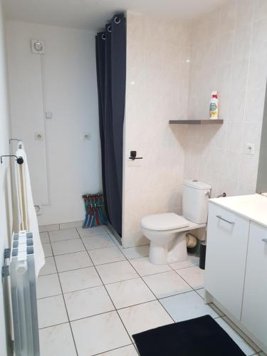 a bathroom with a toilet and a black shower curtain at Chez laiko wifi gratuit in Beaulieu-sur-Loire