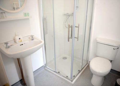 a bathroom with a shower and a toilet and a sink at The Yellow House B&B in Navan