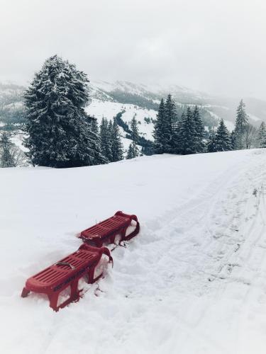 a snow covered bench sitting on top of a snow covered hill at Beautiful holiday apartment in Wildhaus Toggenburg in Wildhaus