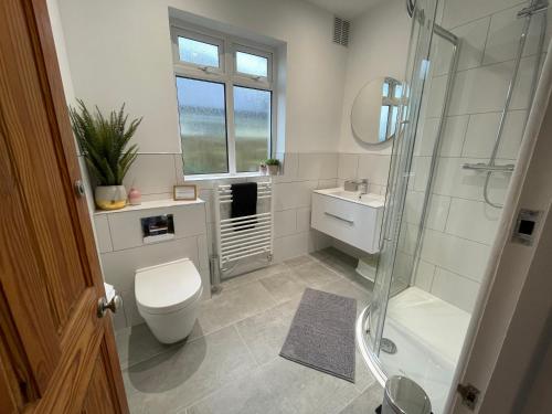 a bathroom with a shower and a toilet and a sink at Jamie's Georgeham in Croyde