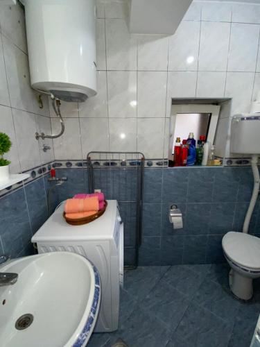 een badkamer met een toilet en een wastafel bij Skadar Lake Apartment -Anja in Vranjina