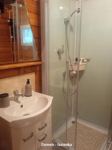a bathroom with a shower and a sink at Domek i jurta nad rzeką in Kościerzyna