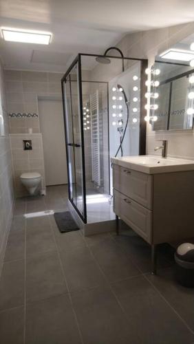 a bathroom with a shower and a sink and a toilet at Logement avec deux chambres dans maison de village in Vaillant
