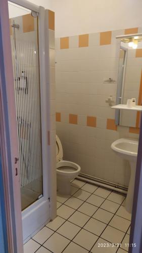 a bathroom with a toilet and a sink at le vieux relais in Cosne-Cours-sur-Loire