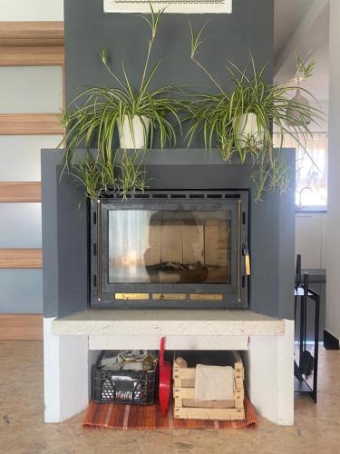 a fireplace with two plants on top of it at Apartman Kaja in Zagreb