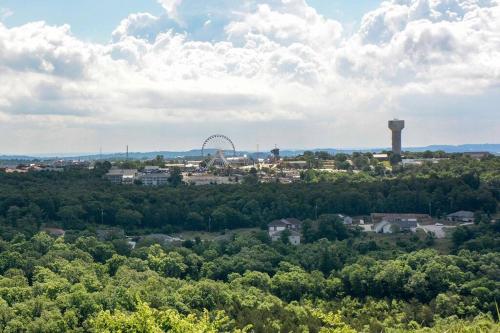 an aerial view of a city with a ferris wheel at Remodeled NO STEPS Citrus Lane Luxury Amazing View in Branson