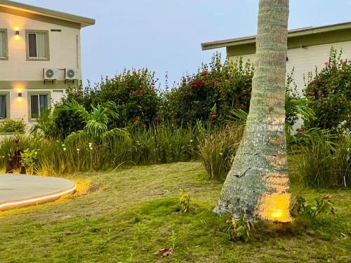 Κήπος έξω από το MiKiPi Hotel Boutique