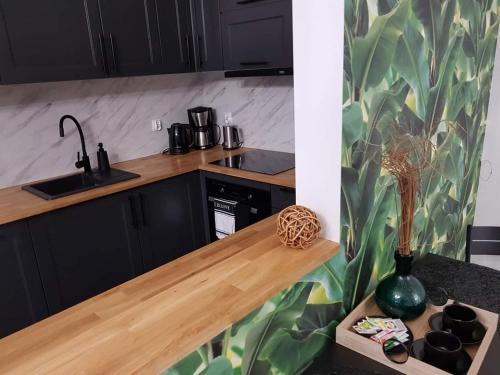 a kitchen with black cabinets and a wooden counter top at MoryńApartments in Moryń
