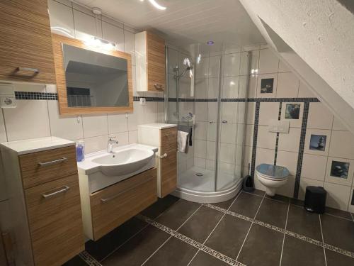 een badkamer met een wastafel, een douche en een toilet bij Große Ferienwohnung zu vermieten in Lütjenburg
