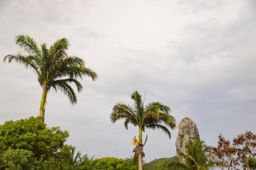two palm trees and rocks in front of a cloudy sky at Casa do Imperador in Fernando de Noronha