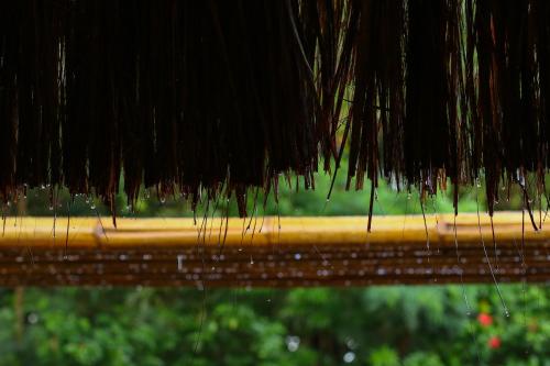 a close up of a straw roof with water droplets at Casa do Imperador in Fernando de Noronha