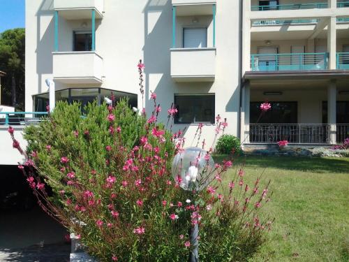 Fotografie z fotogalerie ubytování Hotel Flora v destinaci Marina di Bibbona