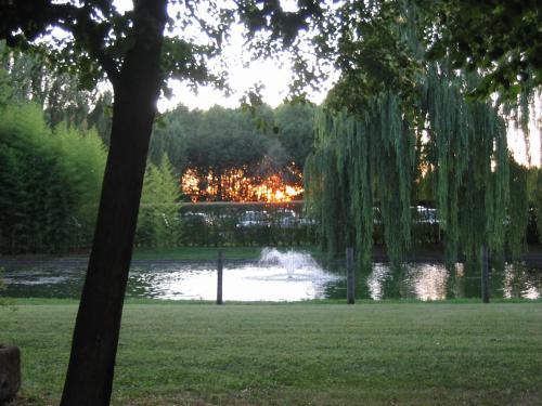 a park with a pond and a tree and a lake at Agriturismo La Lupa in Madonna della Provvidenza