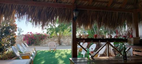 Bazén v ubytování Hostal Johnnier Macao Punta Cana nebo v jeho okolí