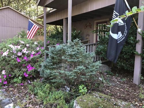 Mountain Harbor Forest View Lodge cottage – Photos 2
