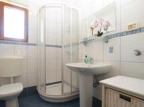 Family friendly house with a swimming pool Valbandon, Fazana - 20772