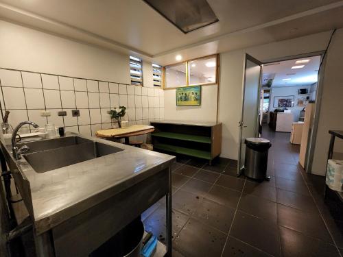 - une cuisine avec un grand évier dans l'établissement Edificio El Barrio Vertical, à San José