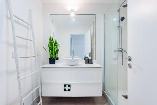 MBIRD Lapa River View Duplex