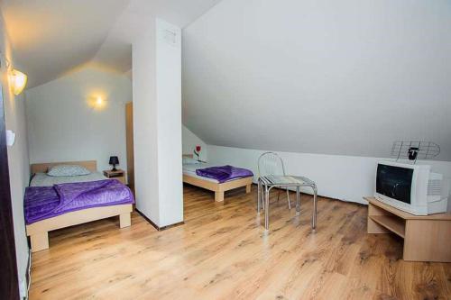 a room with two beds and a tv in it at Apartamenty Motylem Jestem in Szczawnica