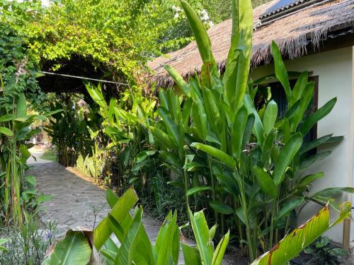 a garden with green plants next to a building at Tipsea Turtle Gili Air in Gili Islands