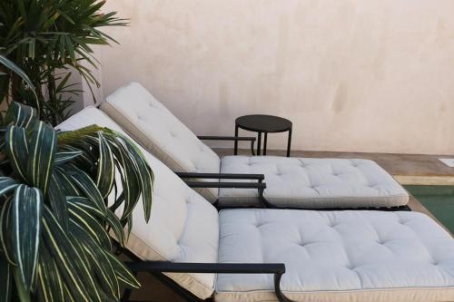 two white couches sitting in a room with a plant at Casa Nova Centro Oaxaca - Adults Only in Oaxaca City