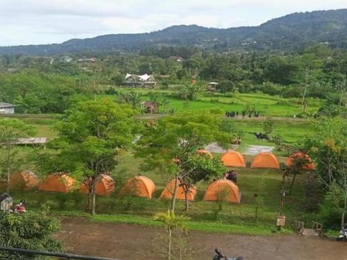 un grupo de tiendas de campaña en un campo con árboles en Puncak Camp Hills en Bogor
