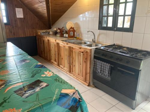 una cucina con piano cottura e lavandino di Chalet DIKA a Cilaos