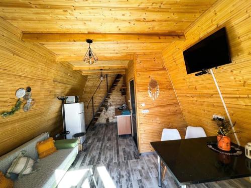 a room with a couch and a table and a tv at Cabana A-Frame Refugiu Montan in Băişoara