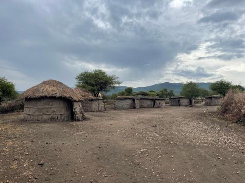 a group of huts in the middle of a field at DUPOTO HOMESTAY VILLAGE - MASAI VILLAGE (BOMA) in Mto wa Mbu