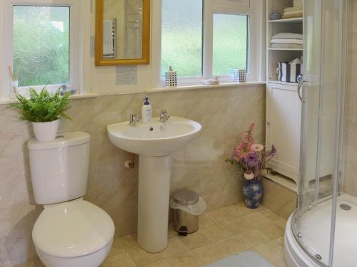 a bathroom with a toilet and a sink and a shower at Bryn Rodyn in Llanfair-Dyffryn-Clwyd