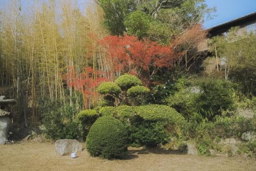 Jardín al aire libre en 古淡 - Kotan