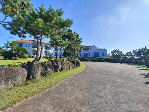 una carretera frente a una casa con un árbol en The House Pension en Jeju