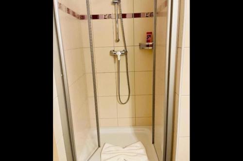 La salle de bains est pourvue d'une douche avec une porte en verre. dans l'établissement Apartments La Rosa, à Rust