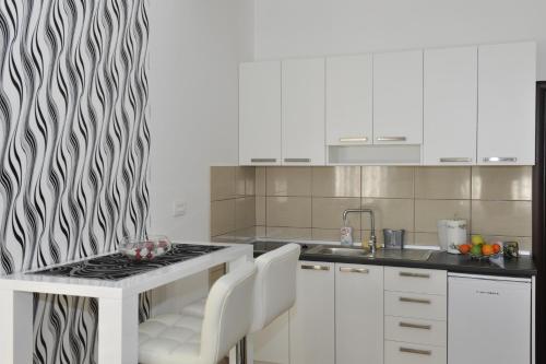 Kuchyň nebo kuchyňský kout v ubytování Apartment Jovana Nikšić