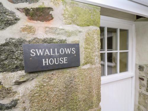 Swallows – Photos 2