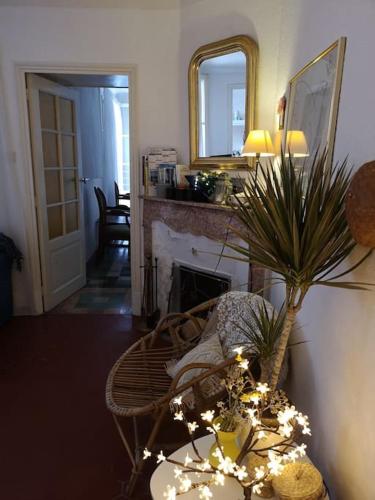 un salon avec une cheminée et une chaise avec une plante dans l'établissement La Casetta du village, calme et extérieur, à Saint-Vallier-de-Thiey