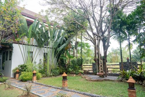 Taman di luar Merry Spa & Resort