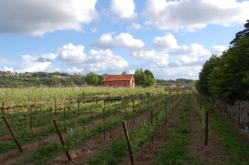 Φωτογραφία από το άλμπουμ του Casa de Cabanelas σε Bustelo