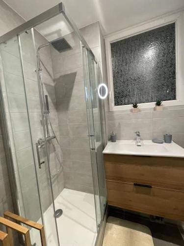 une salle de bain avec douche et lavabo dans l'établissement Republique garden, à Dijon