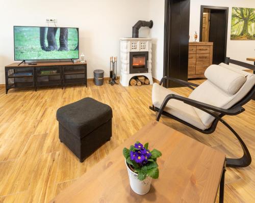 a living room with a tv and a chair and a table at Vila Máchovka in Nová Paka