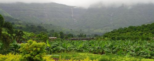 a field of crops with mountains in the background at The Riverstone Agro Farm in Vajapūr