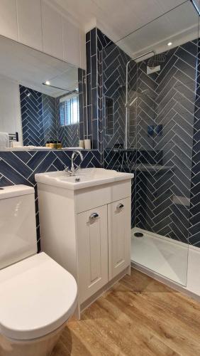 a bathroom with a toilet and a sink and a shower at High Oaks Grange - Contemporary Lodges in Pickering