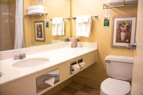 a bathroom with a sink and a toilet at Wingate by Wyndham Sioux City in Sioux City