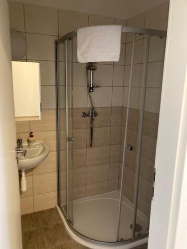 y baño con ducha y puerta de cristal. en Erbenova Apartments, en Praga